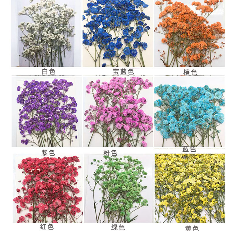 100 Pieces of Baby's Breath Pl - Dried Flower Bookmark recensie en prijs