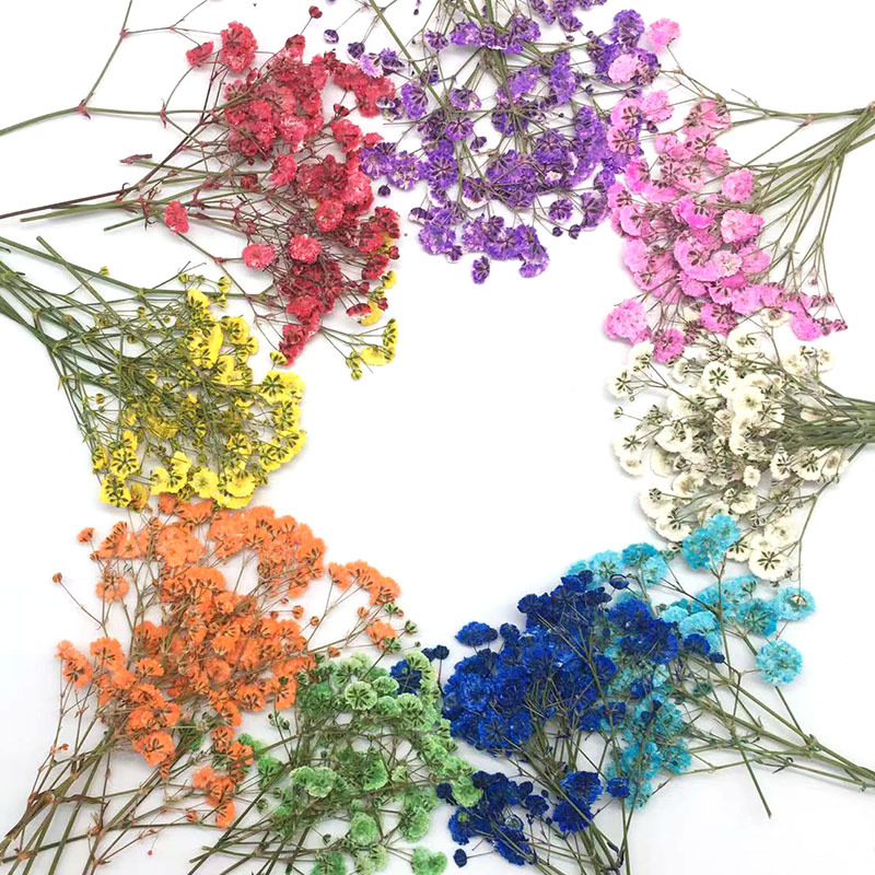 100 Pieces of Baby's Breath Pl - Dried Flower Bookmark recensie en prijs