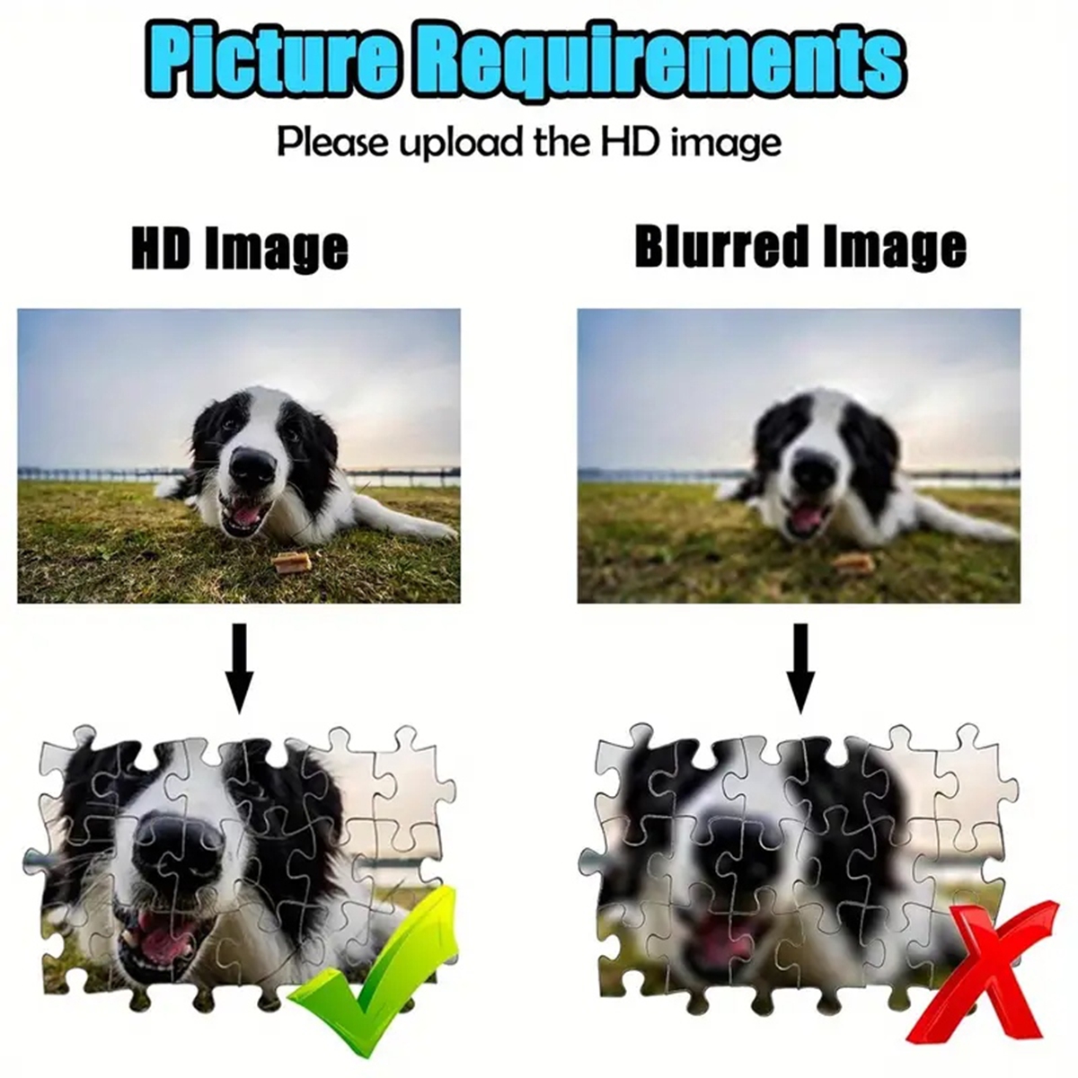 35/300/500/1000pcs Personalize - Pet Portrait Custom recensie en prijs