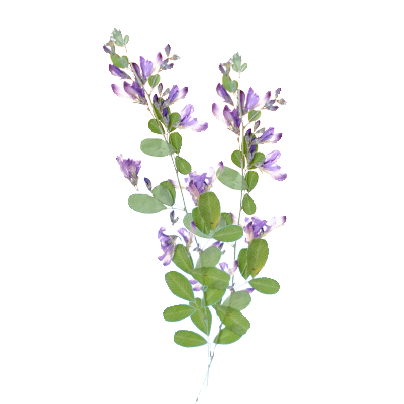 6pcs,nature Lespedeza Formosa  - Dried Flower Bookmark recensie en prijs