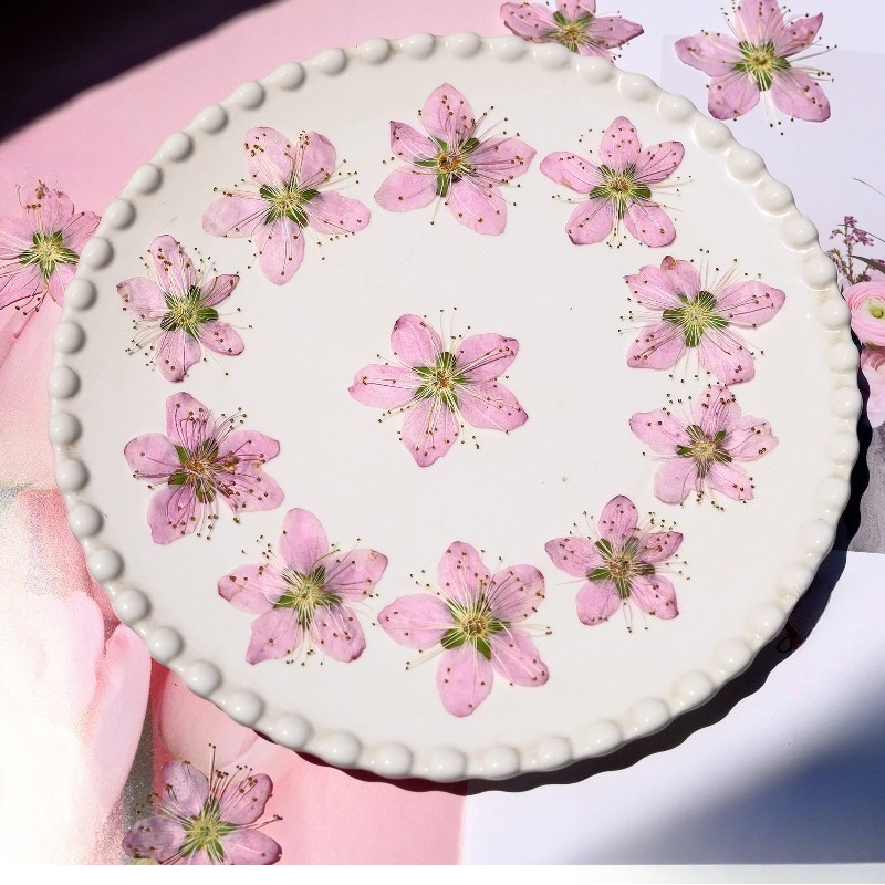 3-4cm./6pcs,Pink Peach Blossom - Dried Flower Bookmark recensie en prijs