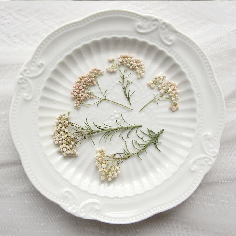 12pcs,Nature Millet flower bra - Dried Flower Bookmark recensie en prijs
