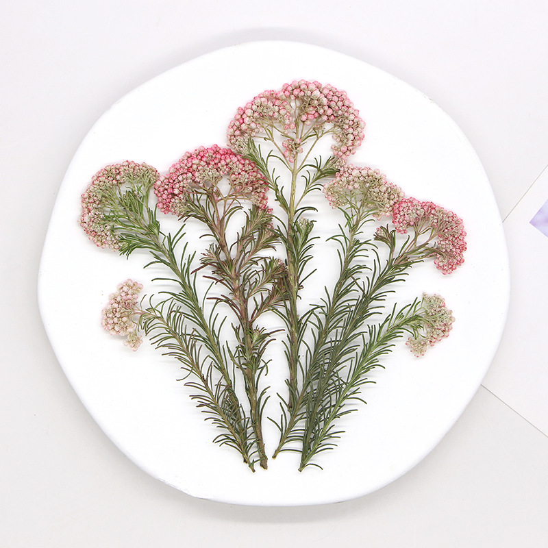 12pcs,Nature Millet flower bra - Dried Flower Bookmark recensie en prijs