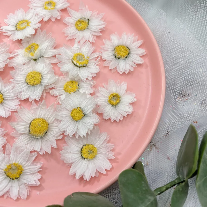 24pcs/2-4CM,Natural Pressed Fl - Dried Flower Bookmark recensie en prijs