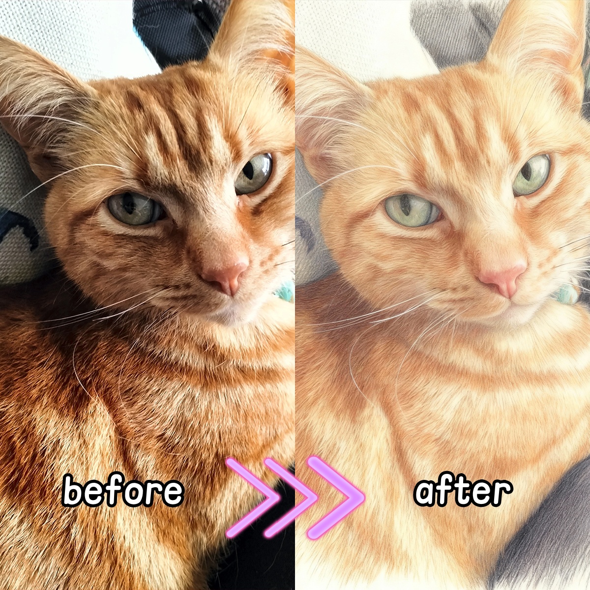 Personalized Custom Colored Pe - Pet Portrait Custom recensie en prijs