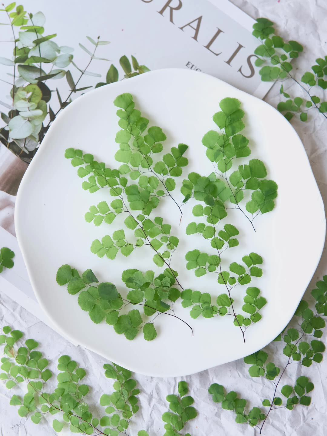 60Pcs Natural Plant Real Flowe - Dried Flower Bookmark recensie en prijs