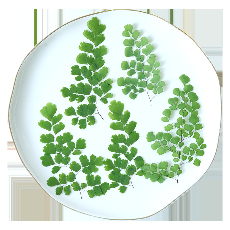 60Pcs Natural Plant Real Flowe - Dried Flower Bookmark recensie en prijs