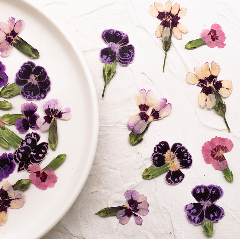 24pcs,Pressed Dried Dianthus F - Dried Flower Bookmark recensie en prijs