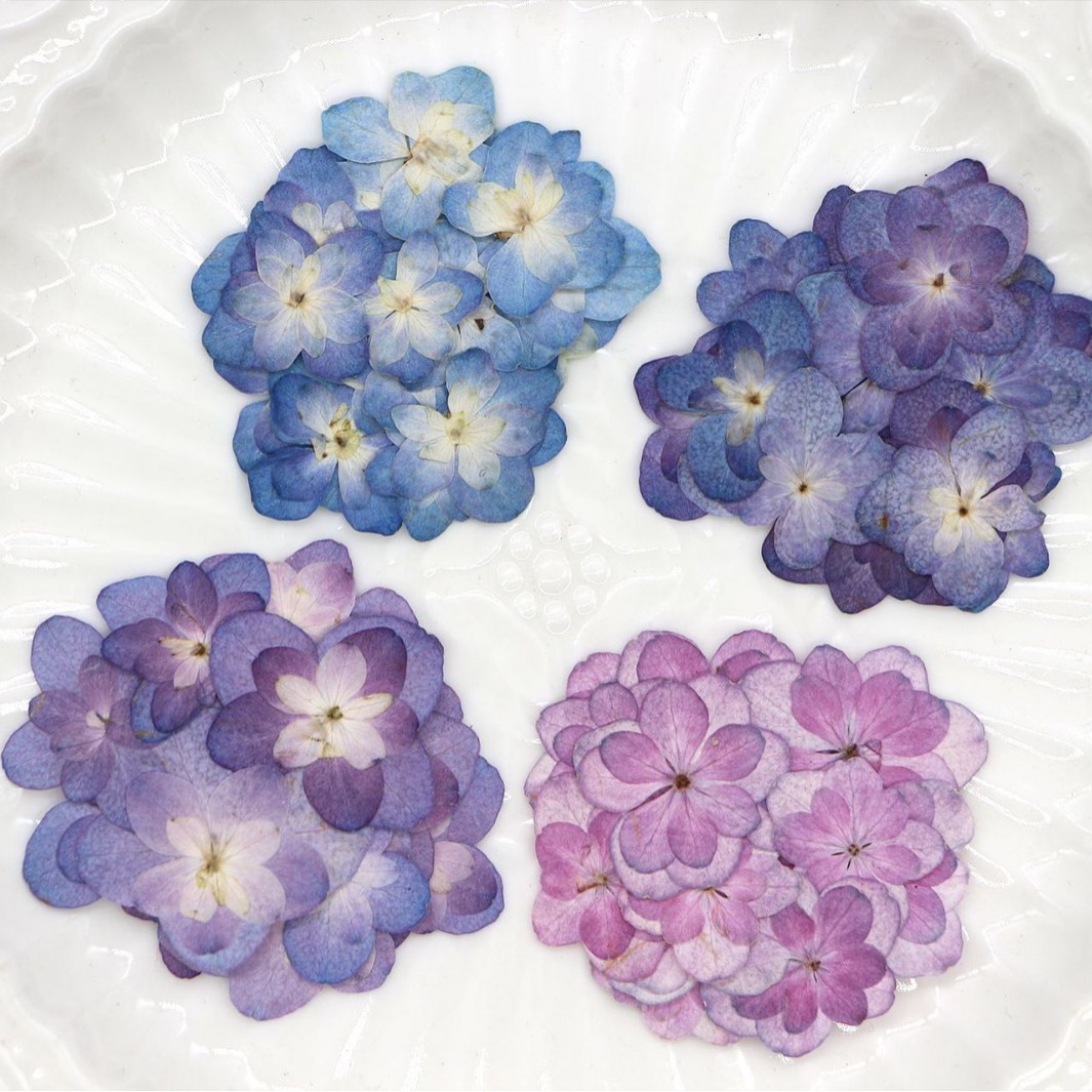 60Pcs Mini Double-Flowered Hyd - Dried Flower Bookmark recensie en prijs