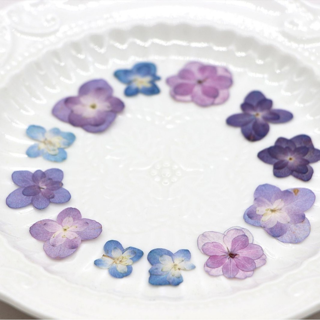 60Pcs Mini Double-Flowered Hyd - Dried Flower Bookmark recensie en prijs