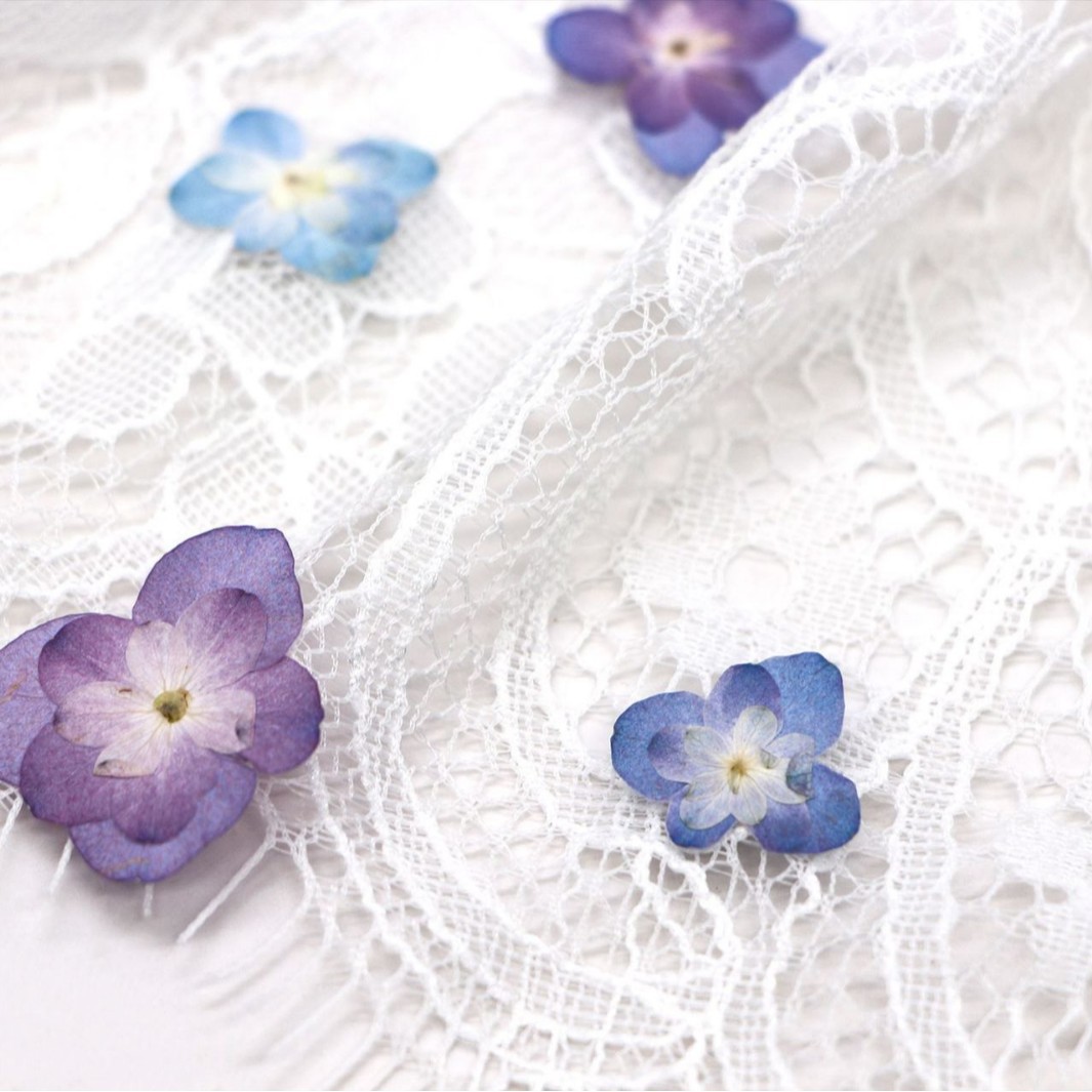 60Pcs Mini Double-Flowered Hyd - Dried Flower Bookmark recensie en prijs